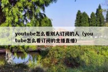 youtube怎么看别人订阅的人（youtube怎么看订阅的主播直播）