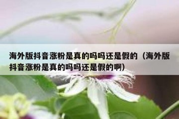 海外版抖音涨粉是真的吗吗还是假的（海外版抖音涨粉是真的吗吗还是假的啊）