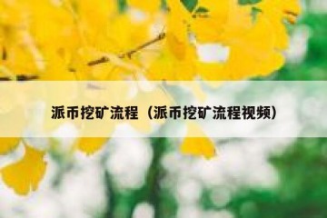 派币挖矿流程（派币挖矿流程视频）