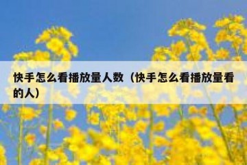 快手怎么看播放量人数（快手怎么看播放量看的人）