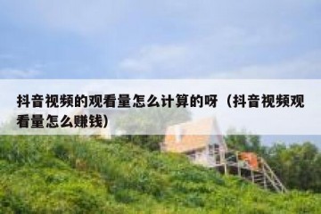 抖音视频的观看量怎么计算的呀（抖音视频观看量怎么赚钱）