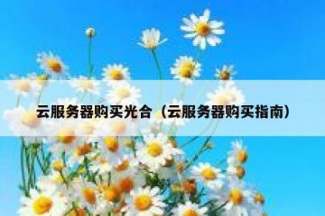云服务器购买光合（云服务器购买指南）