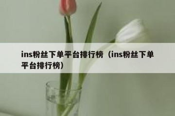 ins粉丝下单平台排行榜（ins粉丝下单平台排行榜）