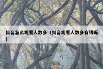 抖音怎么观看人数多（抖音观看人数多有钱吗）