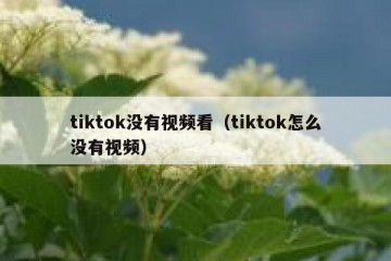 tiktok没有视频看（tiktok怎么没有视频）