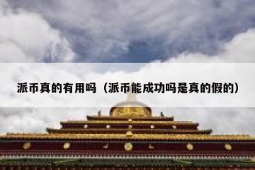 派币真的有用吗（派币能成功吗是真的假的）