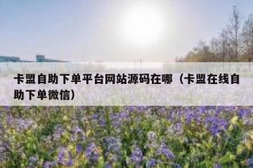 卡盟自助下单平台网站源码在哪（卡盟在线自助下单微信）