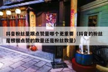 抖音粉丝量跟点赞量哪个更重要（抖音的粉丝是根据点赞的数量还是粉丝数量）