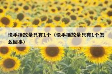 快手播放量只有1个（快手播放量只有1个怎么回事）