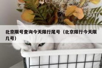 北京限号查询今天限行尾号（北京限行今天限几号）