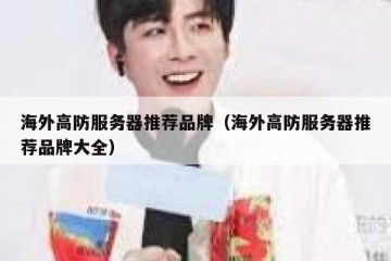 海外高防服务器推荐品牌（海外高防服务器推荐品牌大全）