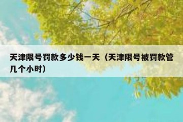 天津限号罚款多少钱一天（天津限号被罚款管几个小时）