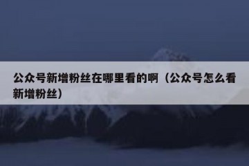公众号新增粉丝在哪里看的啊（公众号怎么看新增粉丝）