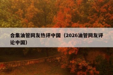 合集油管网友热评中国（2026油管网友评论中国）