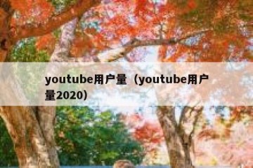 youtube用户量（youtube用户量2020）