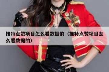 推特点赞项目怎么看数据的（推特点赞项目怎么看数据的）