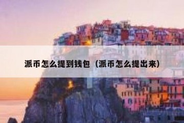 派币怎么提到钱包（派币怎么提出来）