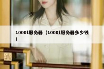 1000t服务器（1000t服务器多少钱）