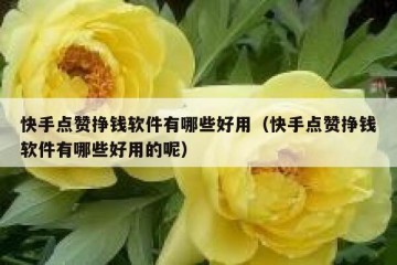 快手点赞挣钱软件有哪些好用（快手点赞挣钱软件有哪些好用的呢）