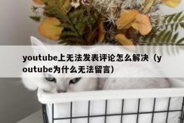 youtube上无法发表评论怎么解决（youtube为什么无法留言）