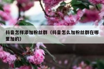 抖音怎样添加粉丝群（抖音怎么加粉丝群在哪里加的）