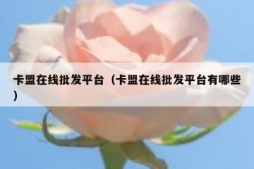 卡盟在线批发平台（卡盟在线批发平台有哪些）