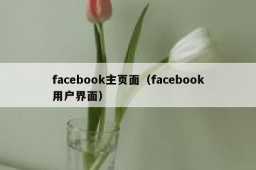 facebook主页面（facebook用户界面）
