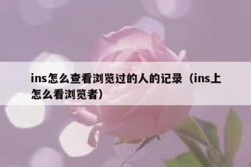 ins怎么查看浏览过的人的记录（ins上怎么看浏览者）