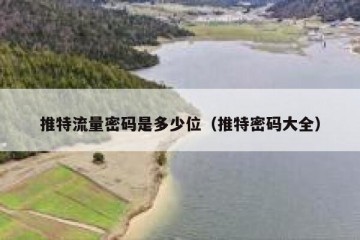 推特流量密码是多少位（推特密码大全）