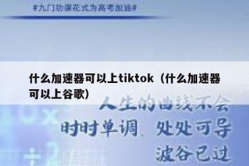 什么加速器可以上tiktok（什么加速器可以上谷歌）