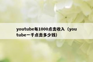 youtube每1000点击收入（youtube一千点击多少钱）