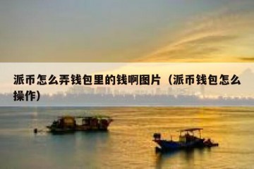 派币怎么弄钱包里的钱啊图片（派币钱包怎么操作）