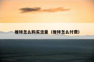 推特怎么购买流量（推特怎么付费）