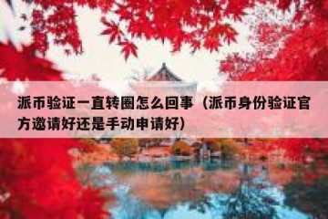 派币验证一直转圈怎么回事（派币身份验证官方邀请好还是手动申请好）
