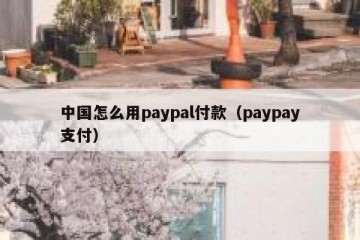 中国怎么用paypal付款（paypay支付）