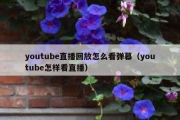youtube直播回放怎么看弹幕（youtube怎样看直播）