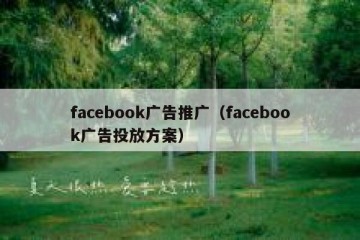 facebook广告推广（facebook广告投放方案）