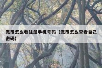 派币怎么看注册手机号码（派币怎么查看自己密码）