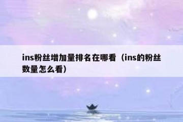 ins粉丝增加量排名在哪看（ins的粉丝数量怎么看）