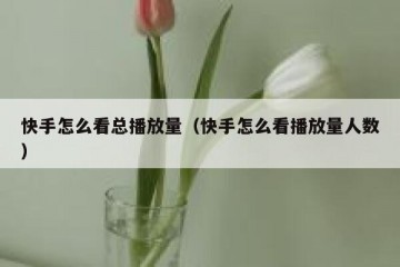 快手怎么看总播放量（快手怎么看播放量人数）