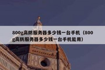 800g高防服务器多少钱一台手机（800g高防服务器多少钱一台手机能用）