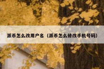 派币怎么改用户名（派币怎么修改手机号码）