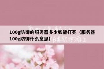 100g防御的服务器多少钱能打死（服务器100g防御什么意思）