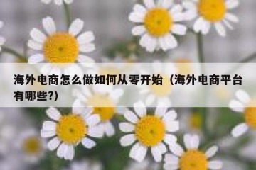 海外电商怎么做如何从零开始（海外电商平台有哪些?）