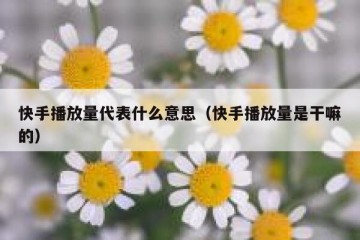 快手播放量代表什么意思（快手播放量是干嘛的）
