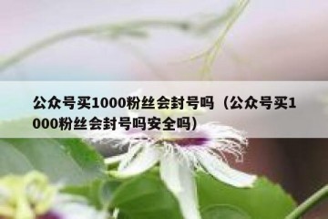 公众号买1000粉丝会封号吗（公众号买1000粉丝会封号吗安全吗）