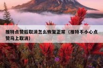 推特点赞后取消怎么恢复正常（推特不小心点赞马上取消）