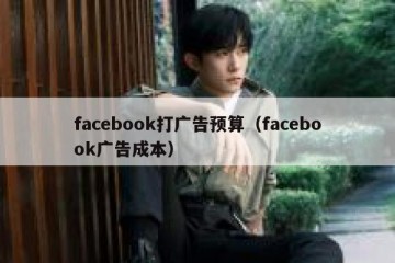 facebook打广告预算（facebook广告成本）