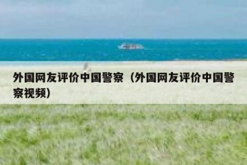 外国网友评价中国警察（外国网友评价中国警察视频）