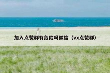 加入点赞群有危险吗微信（vx点赞群）